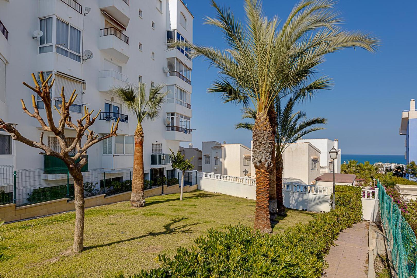Estudio Jardin Del Mar Torrevieja Exterior photo